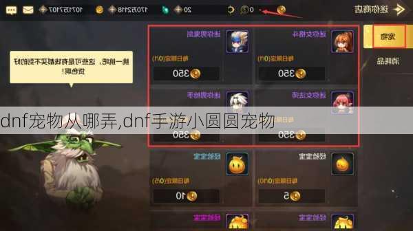 dnf宠物从哪弄,dnf手游小圆圆宠物