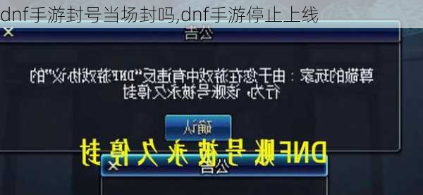 dnf手游封号当场封吗,dnf手游停止上线