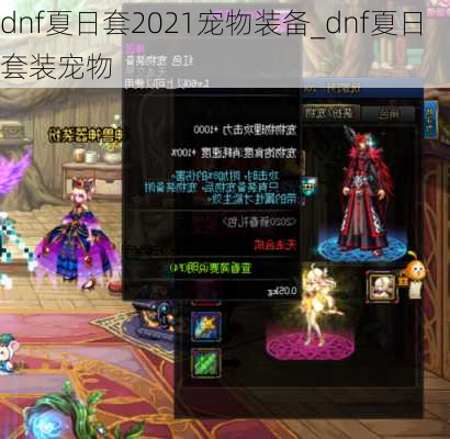 dnf夏日套2021宠物装备_dnf夏日套装宠物