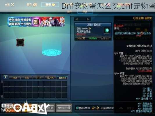 Dnf宠物蛋怎么买,dnf宠物蛋