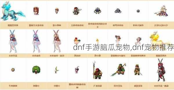 dnf手游脑瓜宠物,dnf宠物推荐