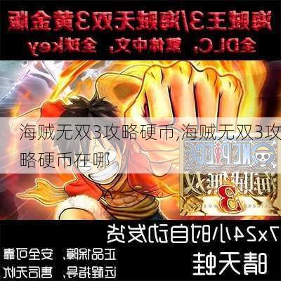 海贼无双3攻略硬币,海贼无双3攻略硬币在哪