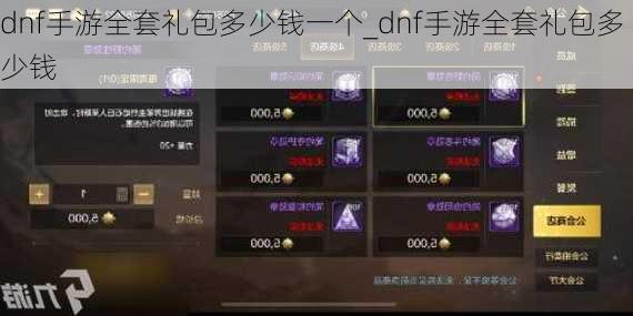 dnf手游全套礼包多少钱一个_dnf手游全套礼包多少钱