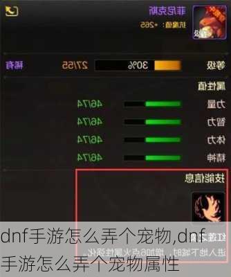 dnf手游怎么弄个宠物,dnf手游怎么弄个宠物属性