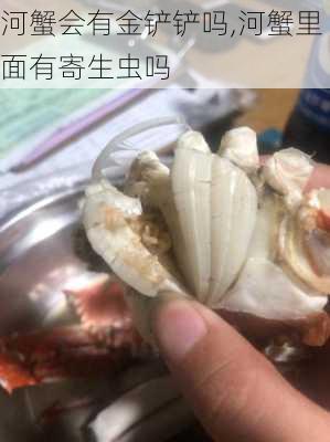 河蟹会有金铲铲吗,河蟹里面有寄生虫吗