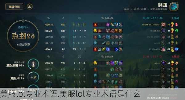 美服lol专业术语,美服lol专业术语是什么