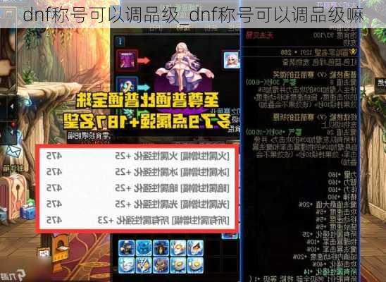 dnf称号可以调品级_dnf称号可以调品级嘛