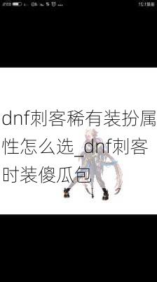 dnf刺客稀有装扮属性怎么选_dnf刺客时装傻瓜包