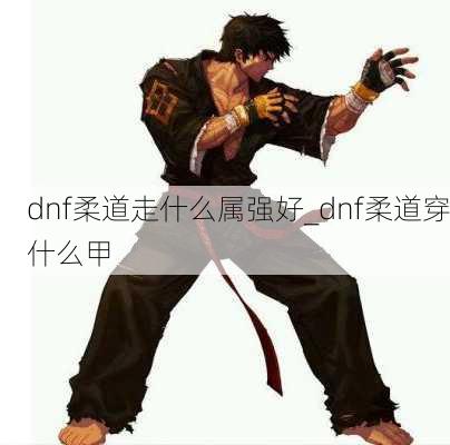 dnf柔道走什么属强好_dnf柔道穿什么甲