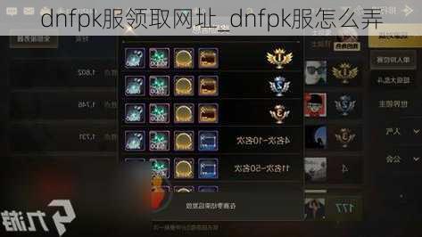 dnfpk服领取网址_dnfpk服怎么弄