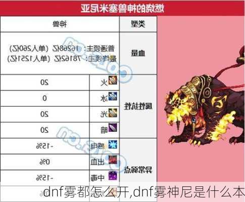 dnf雾都怎么开,dnf雾神尼是什么本