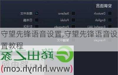 守望先锋语音设置,守望先锋语音设置教程