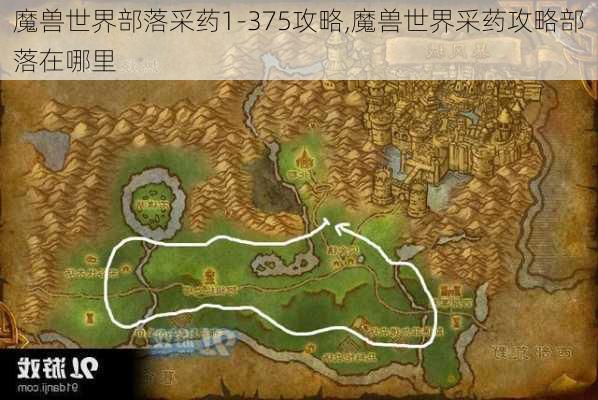 魔兽世界部落采药1-375攻略,魔兽世界采药攻略部落在哪里