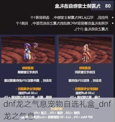 dnf龙之气息宠物自选礼盒_dnf龙之气息