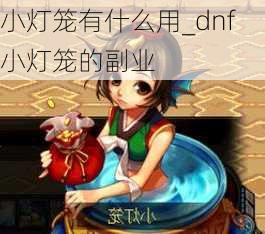 小灯笼有什么用_dnf小灯笼的副业