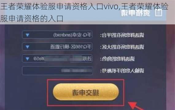 王者荣耀体验服申请资格入口vivo,王者荣耀体验服申请资格的入口