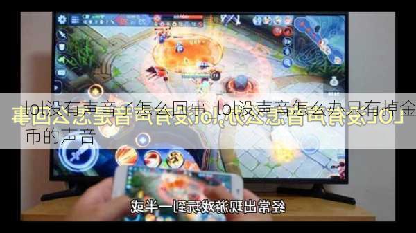 lol没有声音了怎么回事_lol没声音怎么办只有掉金币的声音