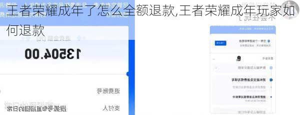王者荣耀成年了怎么全额退款,王者荣耀成年玩家如何退款