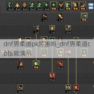 dnf男柔道pk厉害吗_dnf男柔道cp技能演示