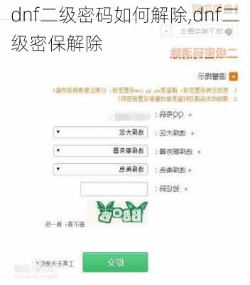 dnf二级密码如何解除,dnf二级密保解除