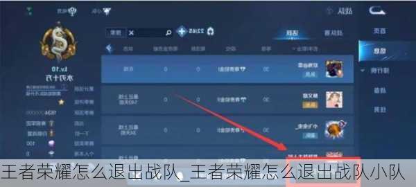 王者荣耀怎么退出战队_王者荣耀怎么退出战队小队