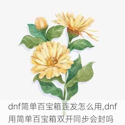 dnf简单百宝箱连发怎么用,dnf用简单百宝箱双开同步会封吗