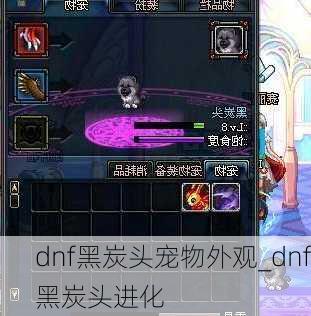 dnf黑炭头宠物外观_dnf黑炭头进化