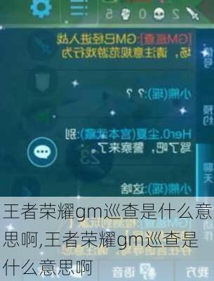 王者荣耀gm巡查是什么意思啊,王者荣耀gm巡查是什么意思啊