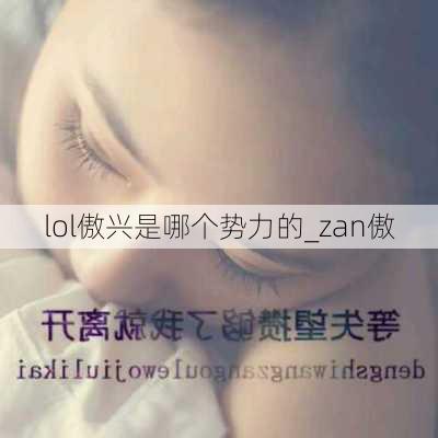 lol傲兴是哪个势力的_zan傲