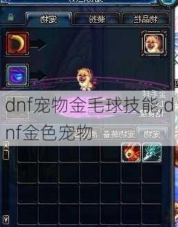 dnf宠物金毛球技能,dnf金色宠物