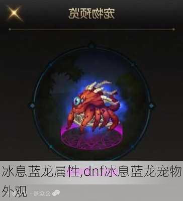 冰息蓝龙属性,dnf冰息蓝龙宠物外观