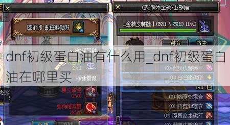 dnf初级蛋白油有什么用_dnf初级蛋白油在哪里买