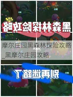 摩尔庄园黑森林探险攻略_黑摩尔庄园攻略