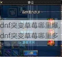 dnf突变草莓哪里爆,dnf突变草莓哪里多