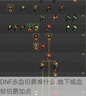 DNF赤血伯爵堆什么,地下城血狱伯爵加点