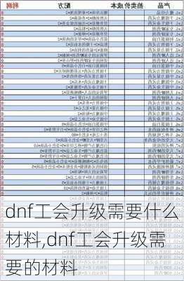 dnf工会升级需要什么材料,dnf工会升级需要的材料