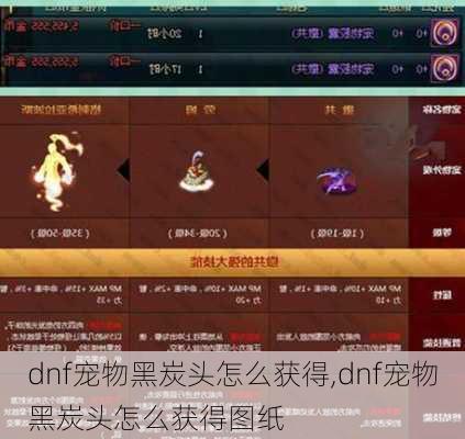 dnf宠物黑炭头怎么获得,dnf宠物黑炭头怎么获得图纸