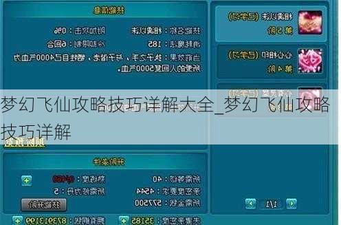 梦幻飞仙攻略技巧详解大全_梦幻飞仙攻略技巧详解