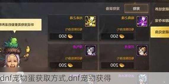 dnf宠物蛋获取方式,dnf宠物获得