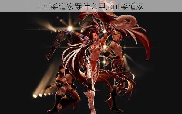 dnf柔道家穿什么甲,dnf柔道家