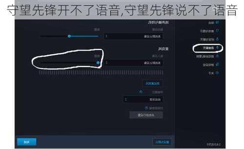守望先锋开不了语音,守望先锋说不了语音
