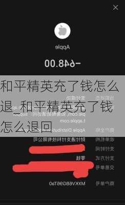 和平精英充了钱怎么退_和平精英充了钱怎么退回