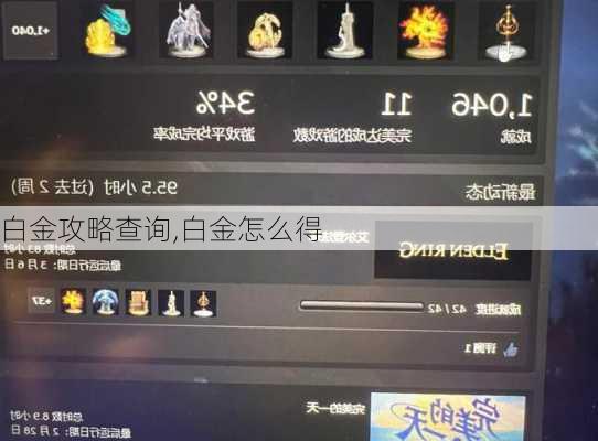 白金攻略查询,白金怎么得