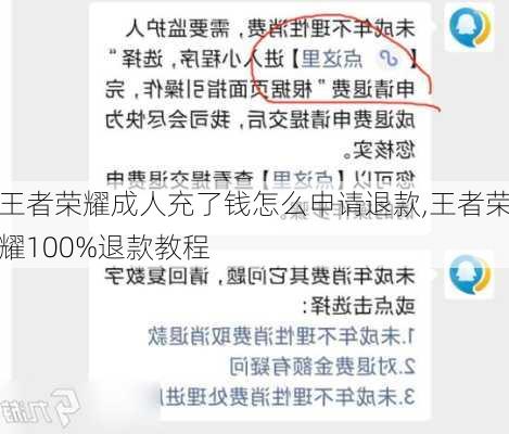 王者荣耀成人充了钱怎么申请退款,王者荣耀100%退款教程