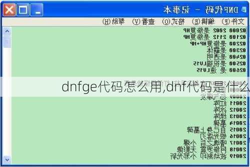 dnfge代码怎么用,dnf代码是什么