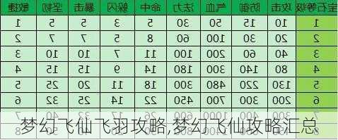 梦幻飞仙飞羽攻略,梦幻飞仙攻略汇总