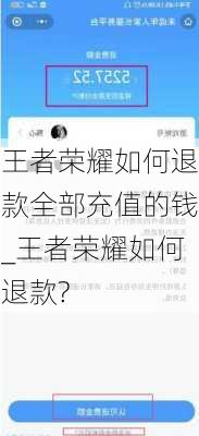 王者荣耀如何退款全部充值的钱_王者荣耀如何退款?