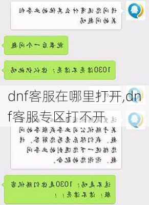 dnf客服在哪里打开,dnf客服专区打不开