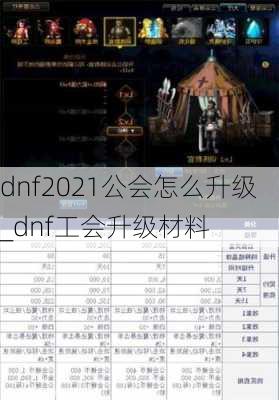 dnf2021公会怎么升级_dnf工会升级材料