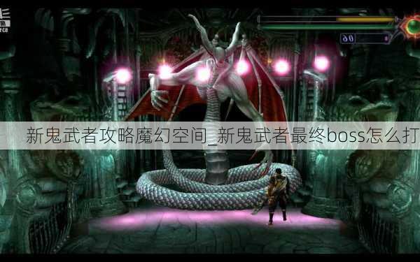 新鬼武者攻略魔幻空间_新鬼武者最终boss怎么打